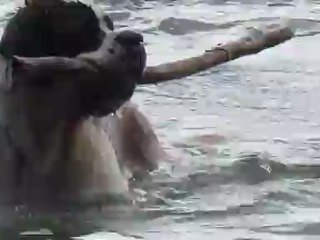 Première nage de Galli