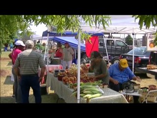 The tomatoes are ripe & delicious