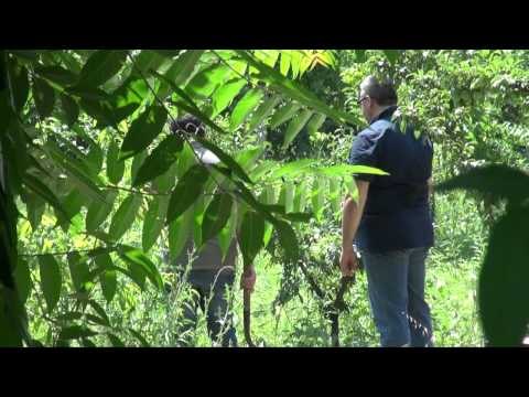 Aversa (CE) - Finanziere trovato morto: si indaga per omicidio (30.06.12)