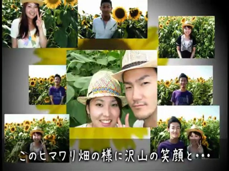 プロフィール　テーマひまわり