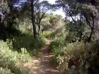 LE Single Incontournable de CALES : 1ere Partie