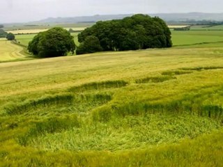 Crop Circle. (compile.14 formations) 06.2012