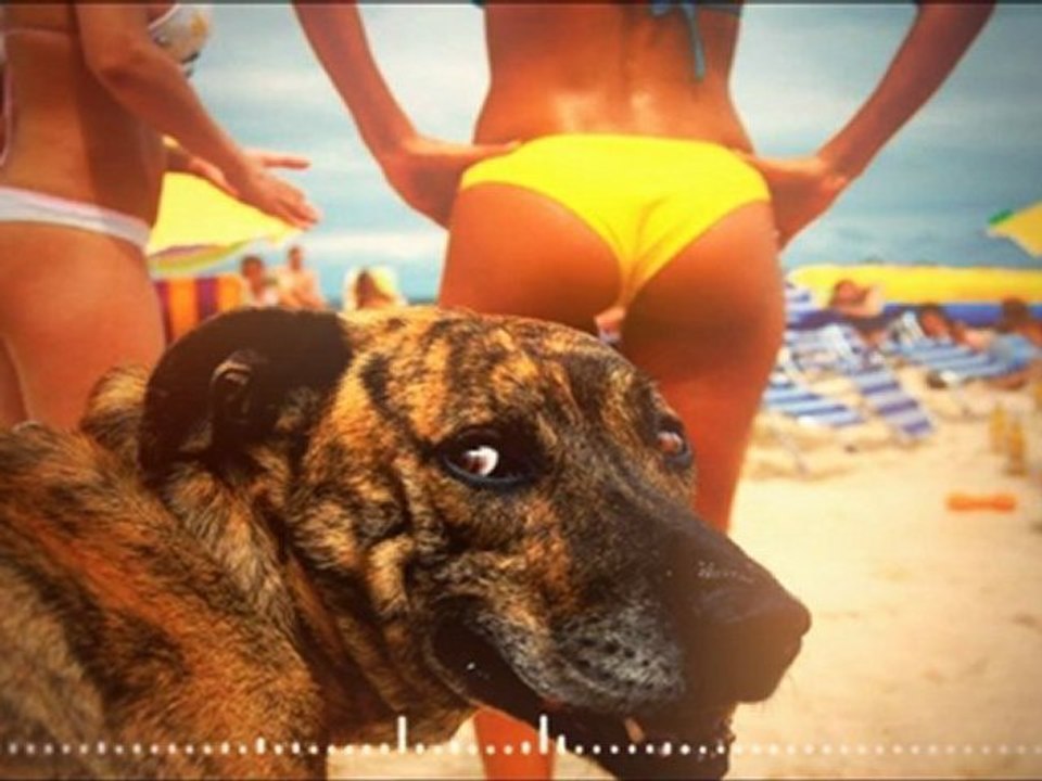 Eddy B & Tim Gunter - Underdog