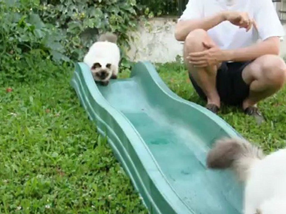there's something in the water