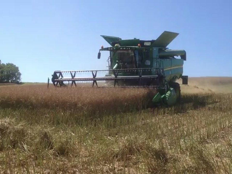 S660 John Deere au colza