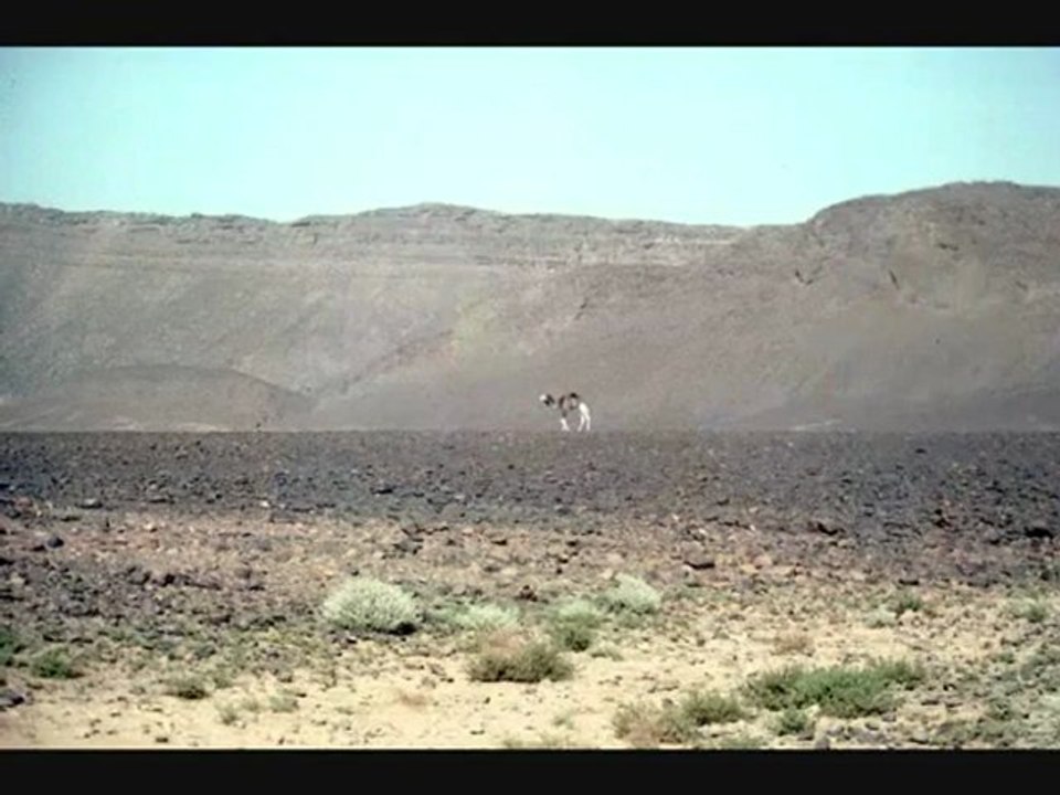 "Transsaharienne 1976 (1) : de Ghardaïa à Tamanrasset"