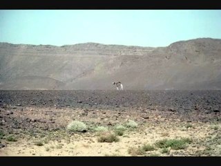 "Transsaharienne 1976 (1) : de Ghardaïa à Tamanrasset"