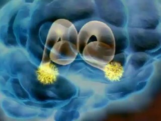 Разум человека - Заводим друзей