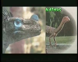 DIVERS ANIMAUX DE LA PREHISTOIRE