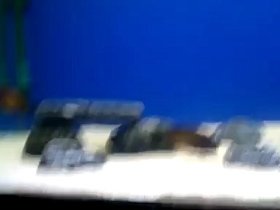 FO TROPHEUS MOORİ İLANGİ