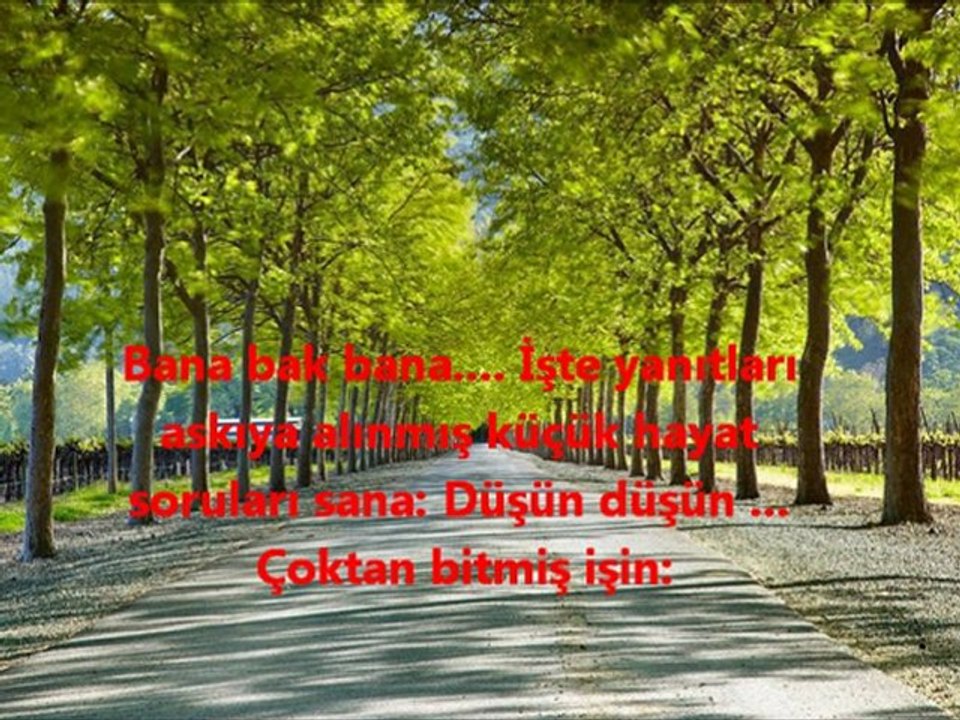 YAŞAM VE DÜŞÜNCELER