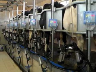 HAZER EMLAK ESKİŞEHİR SATILIK ÇİFTLİK