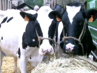 LONGWY COMICE AGRICOLE 2012