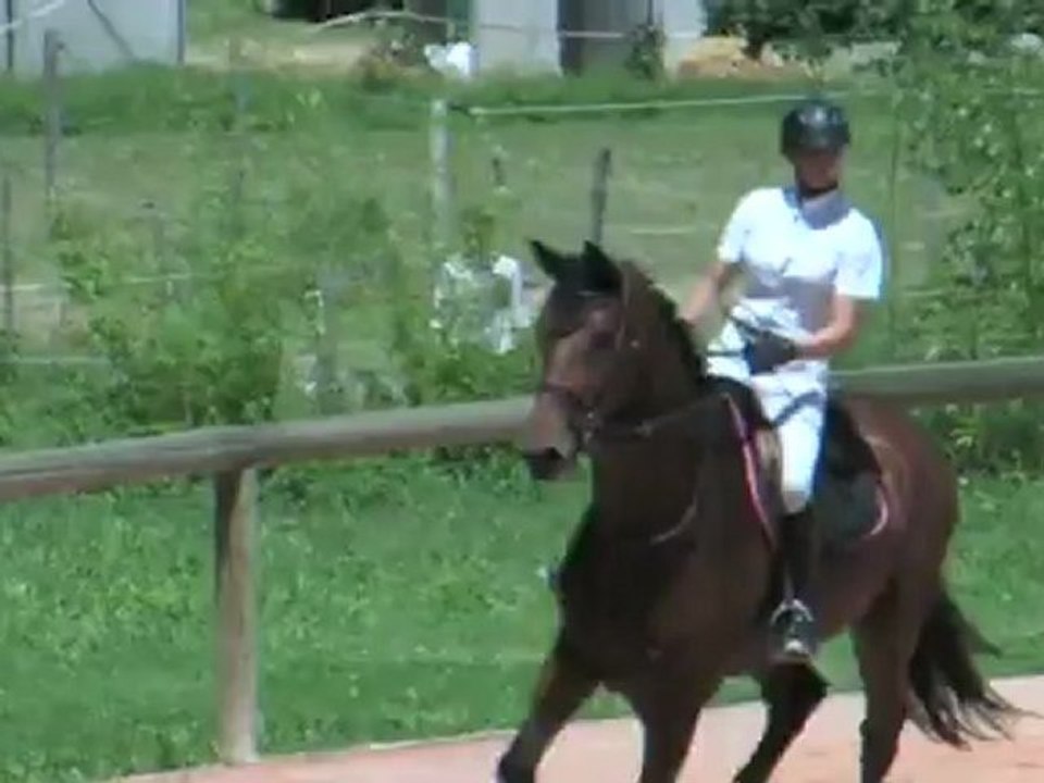 Bandit audrey delmas saint orens 6ans A