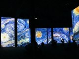 Exposition Van Gogh Alive, Istanbul 20122