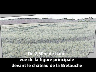 Observations Cercle de culture Boigny (France - 45) 2012