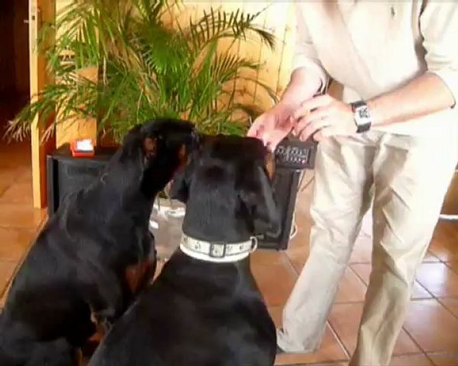 Rena et Patatoune 1