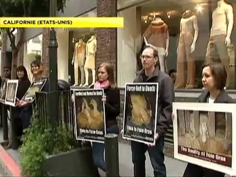 Infomonde - 20120701