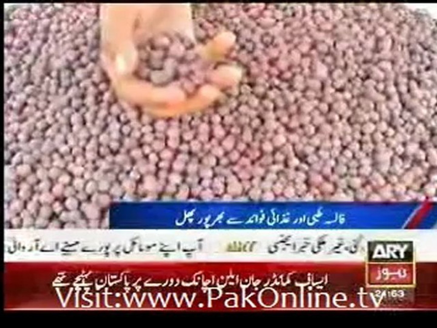 Heath News - False Ke Fawaid - By Ary News