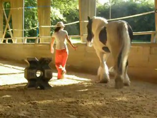 Marion et Thorgal spectacle a la cense