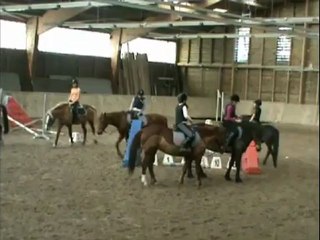 Le bonheur souffle entre les oreilles d'un cheval