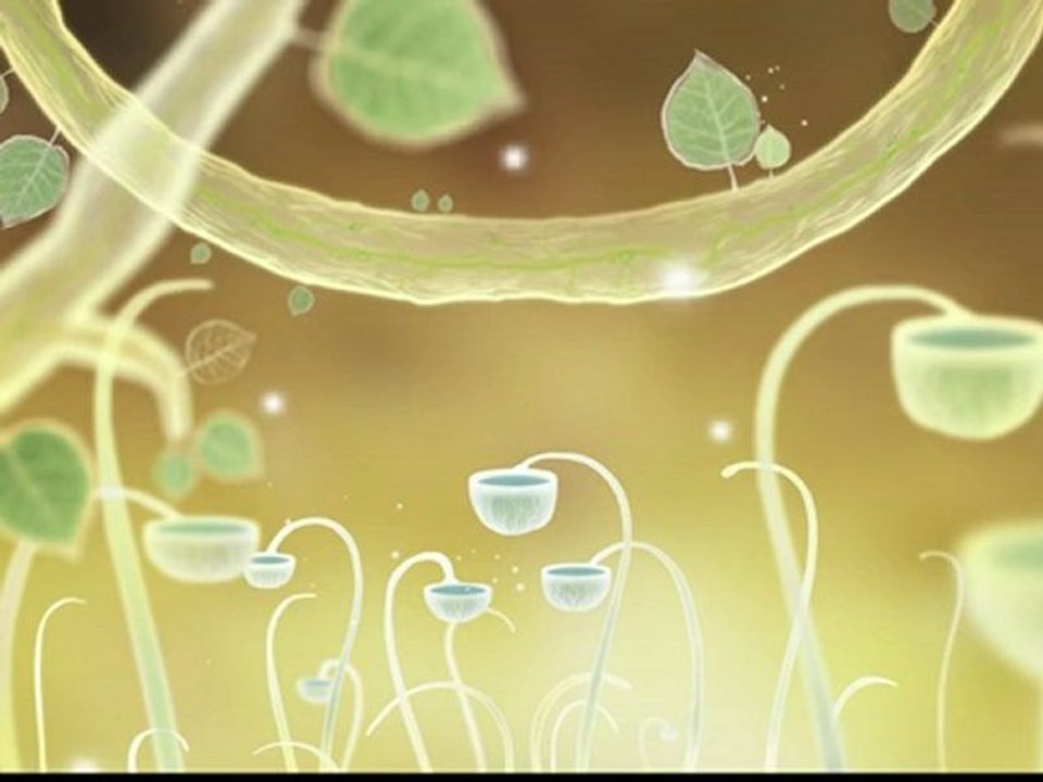 Botanicula - Official Trailer