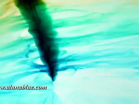 Stock Footage - Stock Video - Forest 02 clip 01 - Video Backgrounds