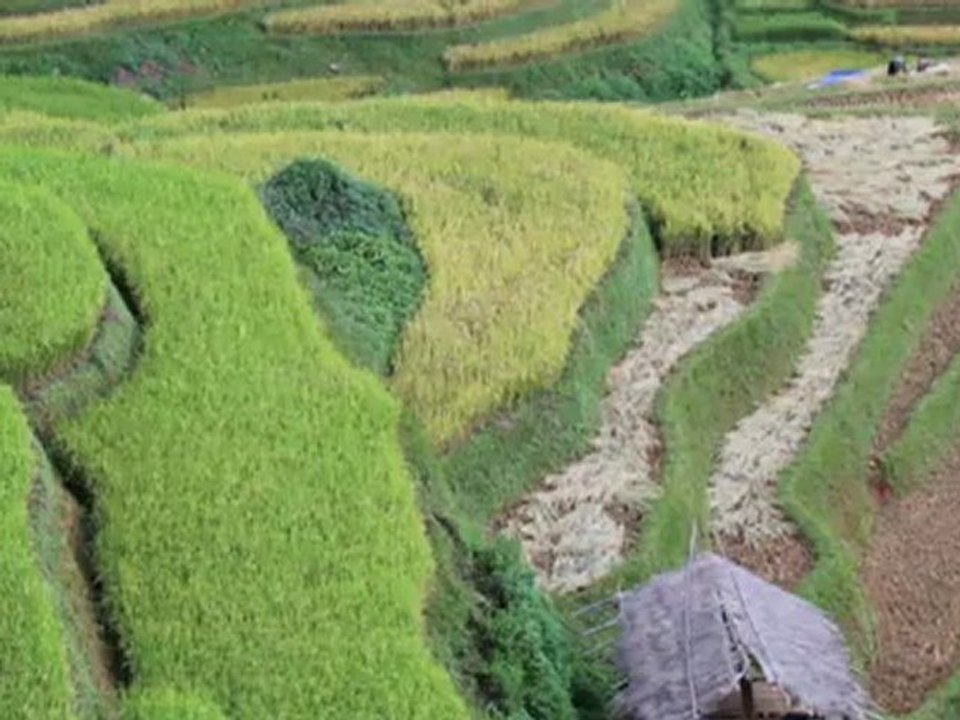 Mu Cang Chai - Vietnam