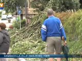 La tempête a dévasté la ville de Dambach, en Alsace