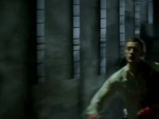 STAG  NIGHT       (B)