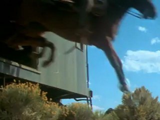 Sonsuz Ölüm / Butch Cassidy And The Sundance Kid SinemaTV'de!