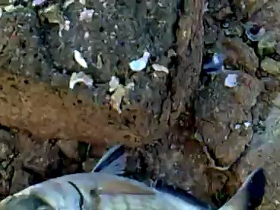 26062012045