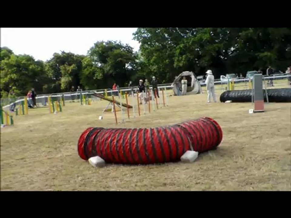 Concours Agility  1/7/2012 Josiane et Edison Ploemeur