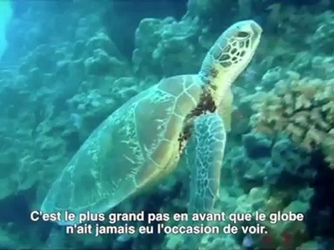 L'Australie va créer le réseau de réserves naturelles aquatiques le plus vaste au monde