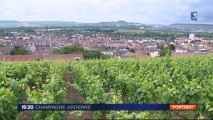 Une famille de vignerons raconte son histoire
