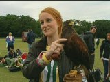 Wimbledon's Rufus the Hawk reunited with owner