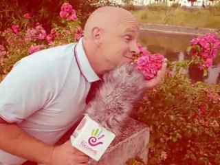 Les coups de coeur téciverdiens de Jean de Niort