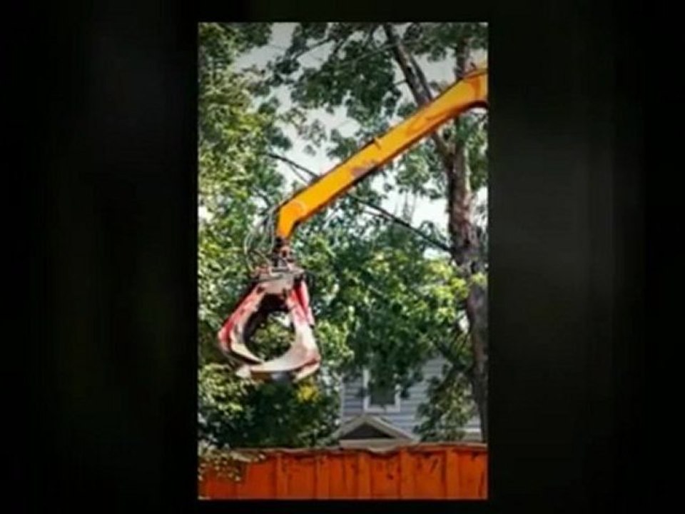 Express Tree Service - (863)325-6994