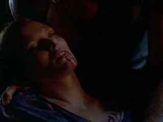 STAG NIGHT     (FERMETURE)     THE END