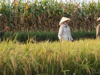 Ancient village Duong Lam