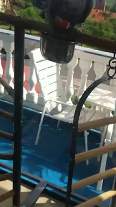 Rudi beim Nudel essen www.papagei.de.be ist Rudis Blog mit Bildern und Beschreibung