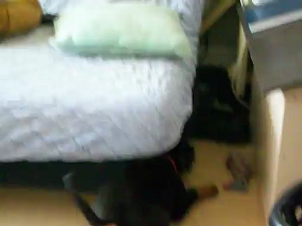 NALA qui pête un cable