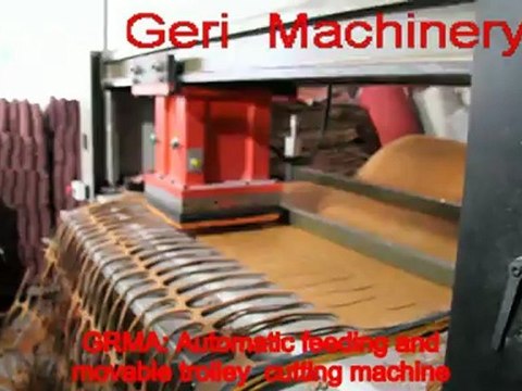 Automatic travelling head cutting machine
