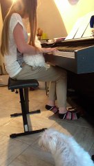 Una Mattina-Ludovico Einaudi