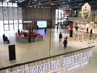 Témoignage d'une mission du Service Civique (Action Passeraile)