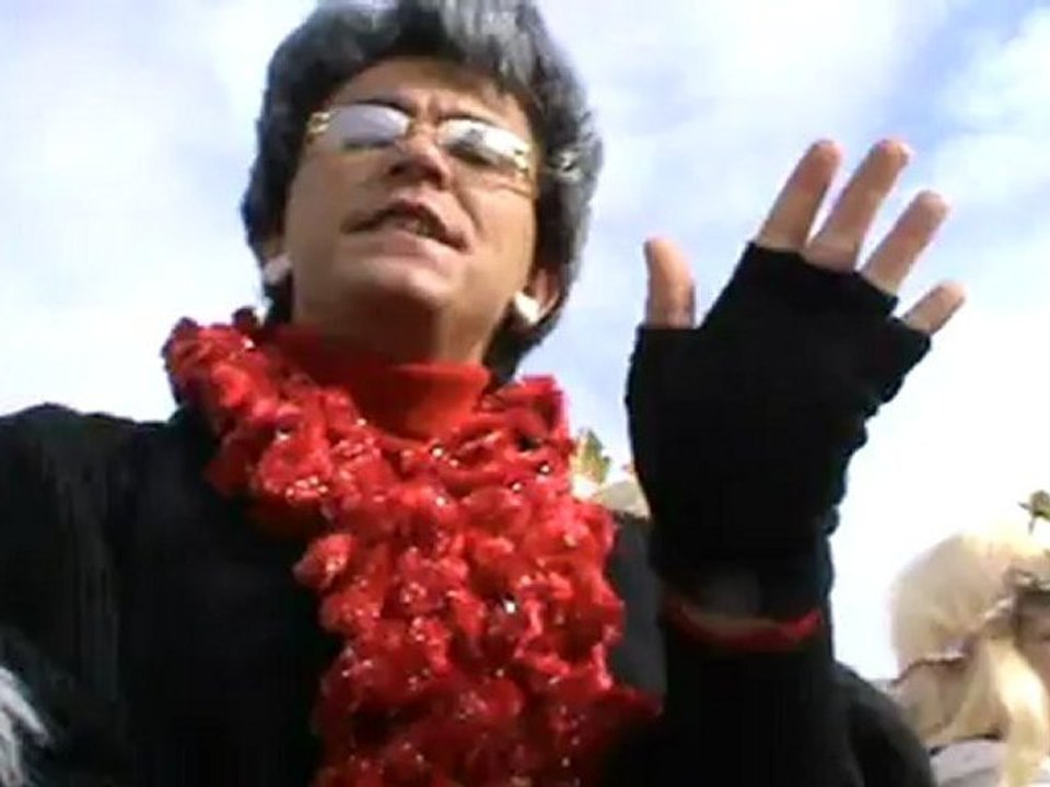 Faschingszug Diebach 21.02.12 http://VIP-Reisen.de Hubert Fella Ab ins Beet von Vox