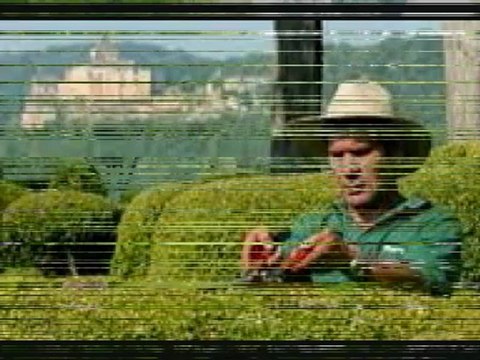 Tout votre JARDINAGE - OISE Services à Domicile - OISE Aide à Domicile - SENLIS - GOUVIEUX - LAMORLAYE - CHANTILLY - 60