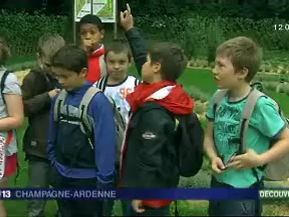 Un jardin de plantes médicinales à Reims