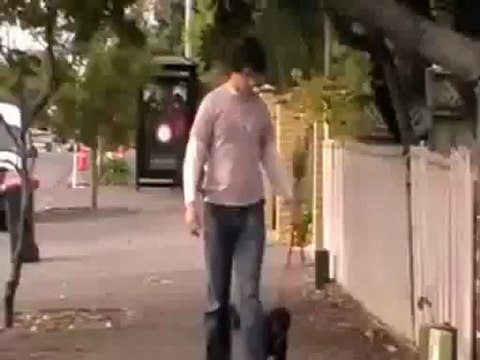 Free Top Dog Training Tip #2 - Stop Your Dog Chewing The Leash