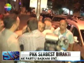 Pkk er Ali Sabancı'yı serbest bıraktı - 30 haziran 2012